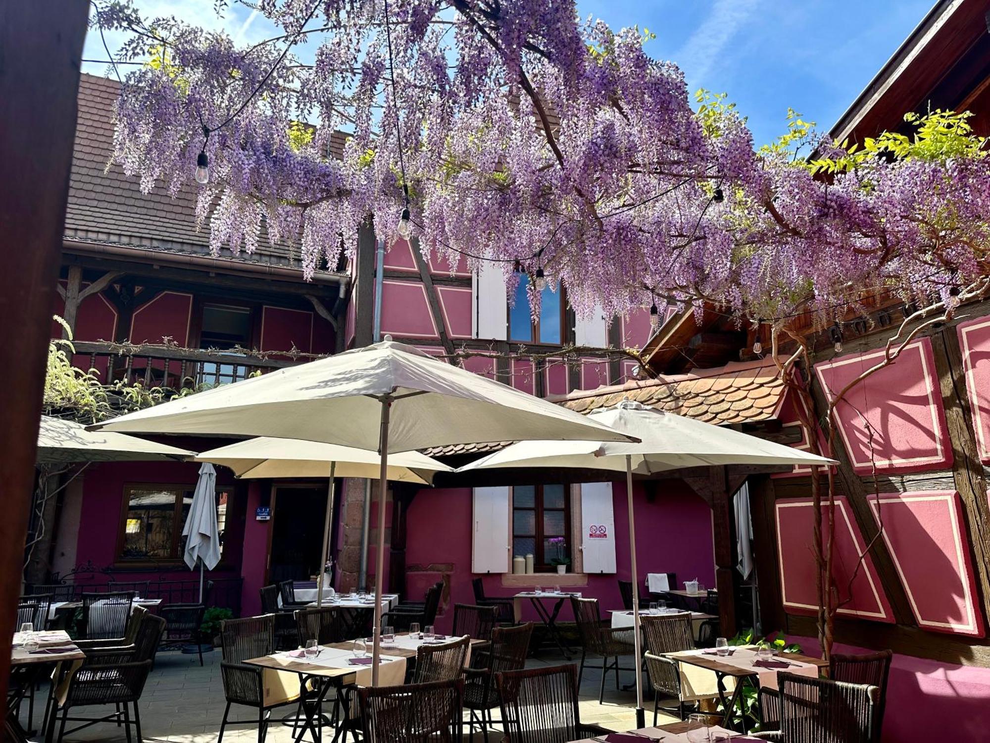 Auberge Le Meisenberg Châtenois Exteriör bild