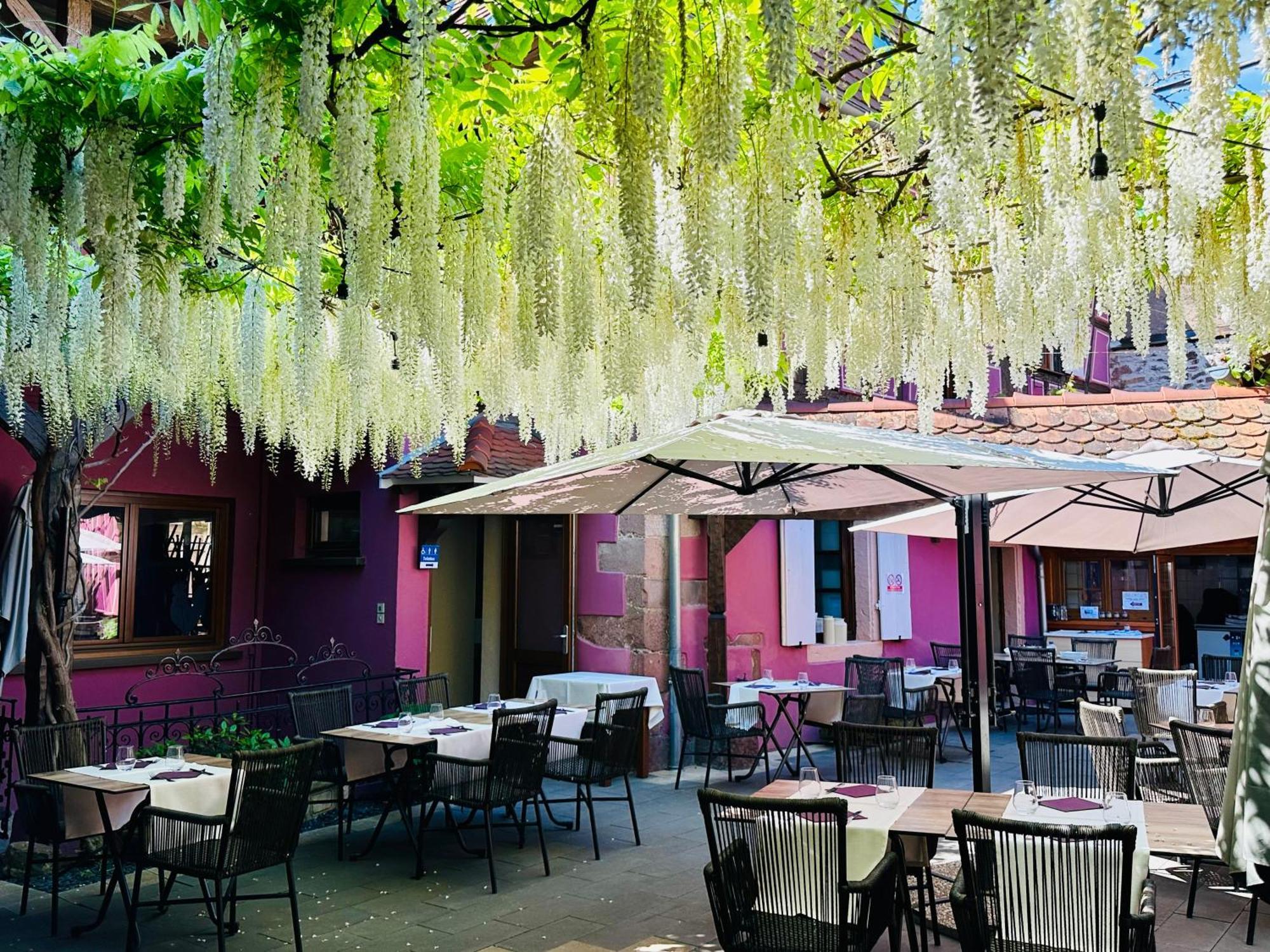 Auberge Le Meisenberg Châtenois Exteriör bild