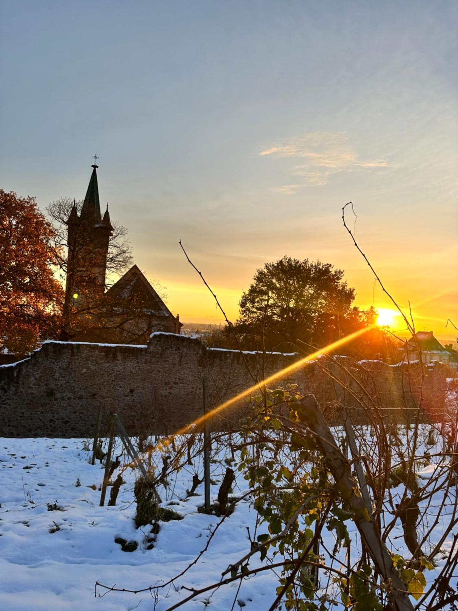 Auberge Le Meisenberg Châtenois Exteriör bild
